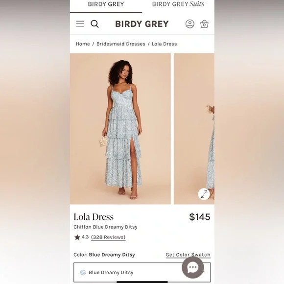 Birdy Grey Lola Blue Dreamy Chiffon Bridesmaid/ Wedding Guest Dress - Picture 2 of 6